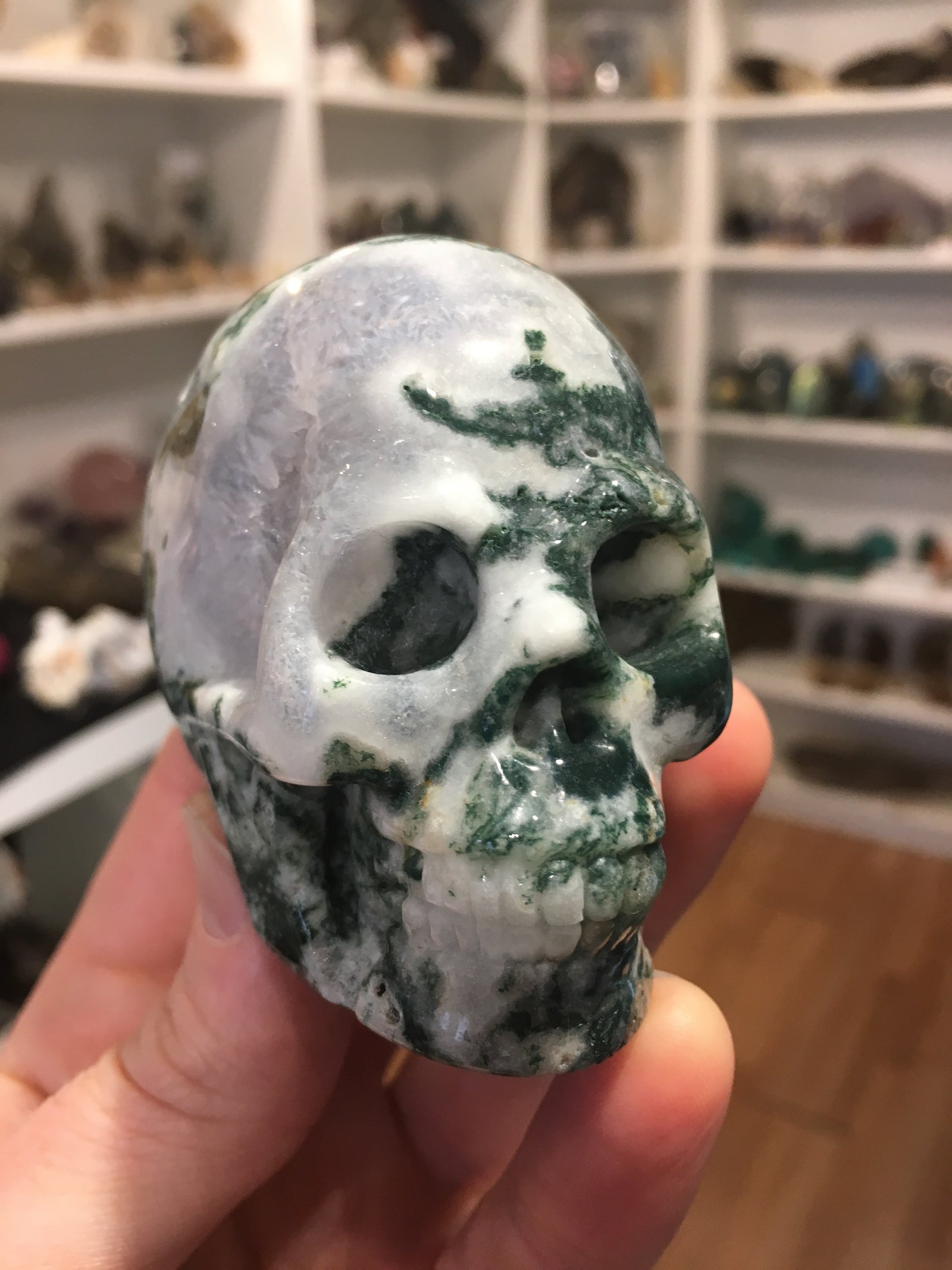 Moss Agate Skull