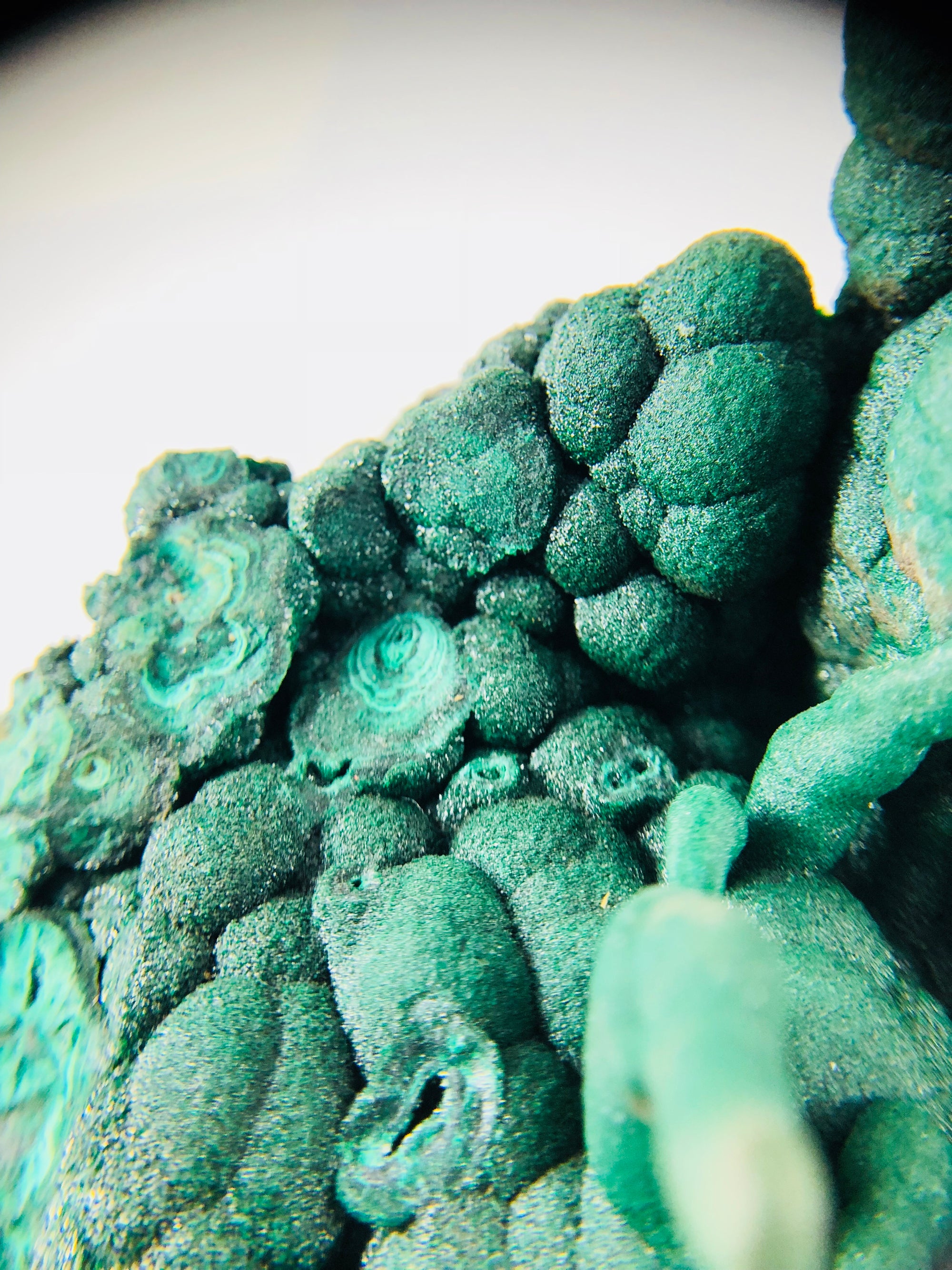 Botryodial Malachite with stalactites