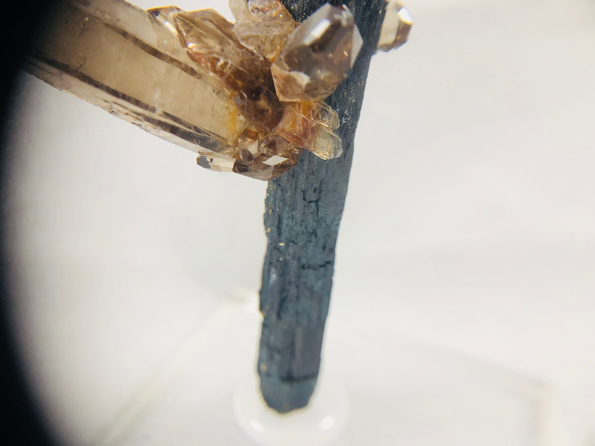 Smoky Quartz on Aegirine