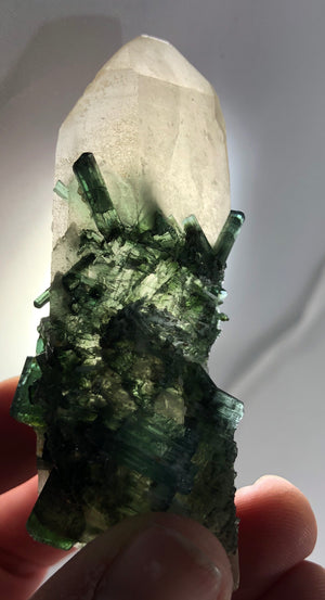 Quartz with Green Tourmaline