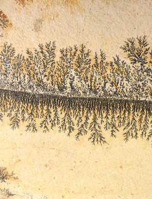 Manganese Dendrite