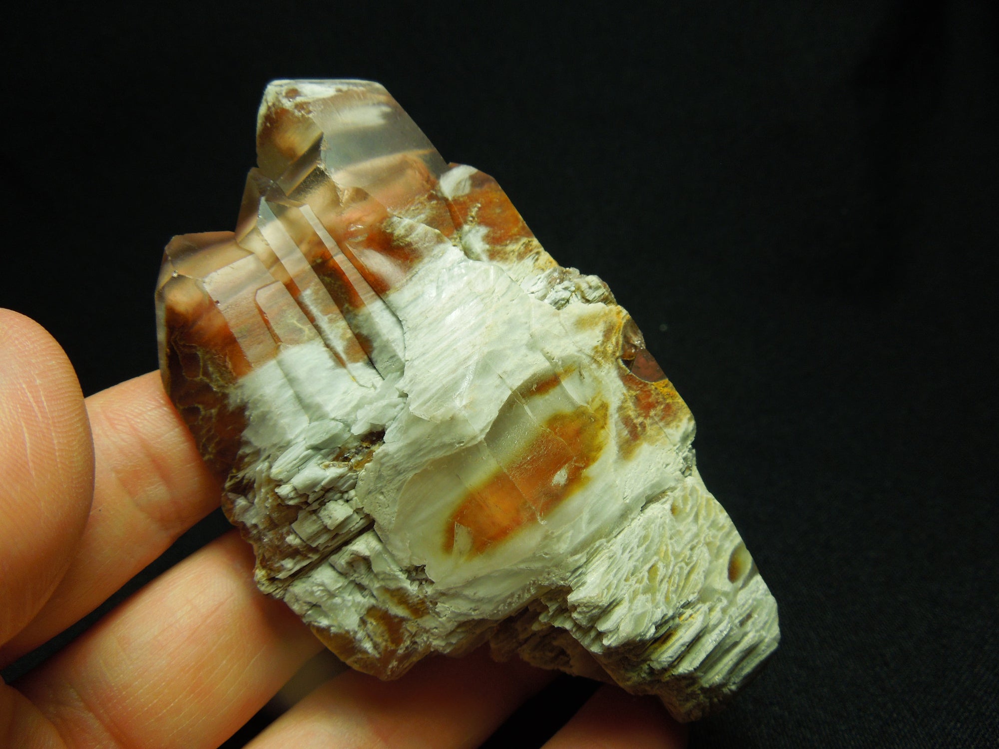 Amphibole Quartz