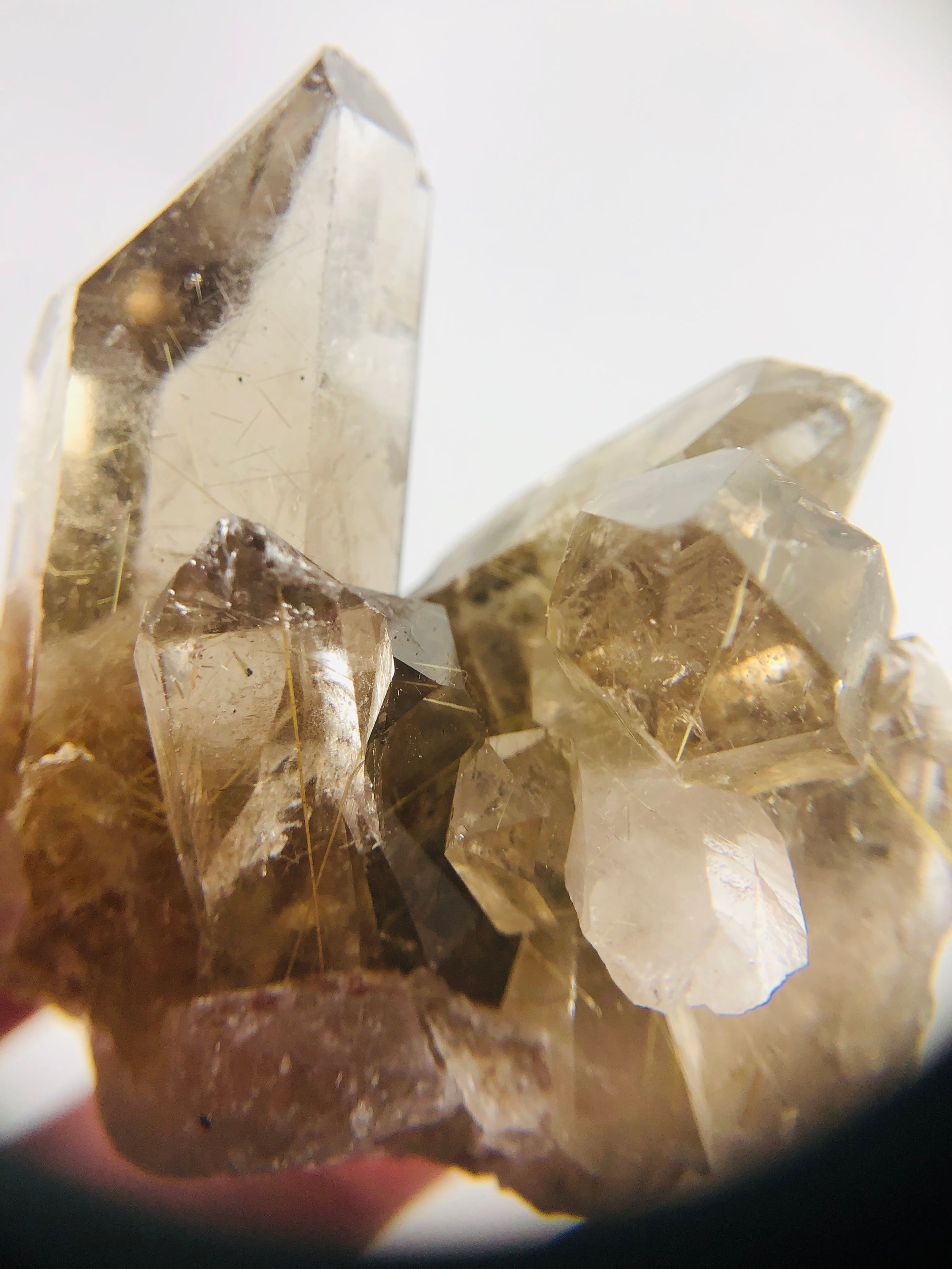 Rutilated Smoky Quartz