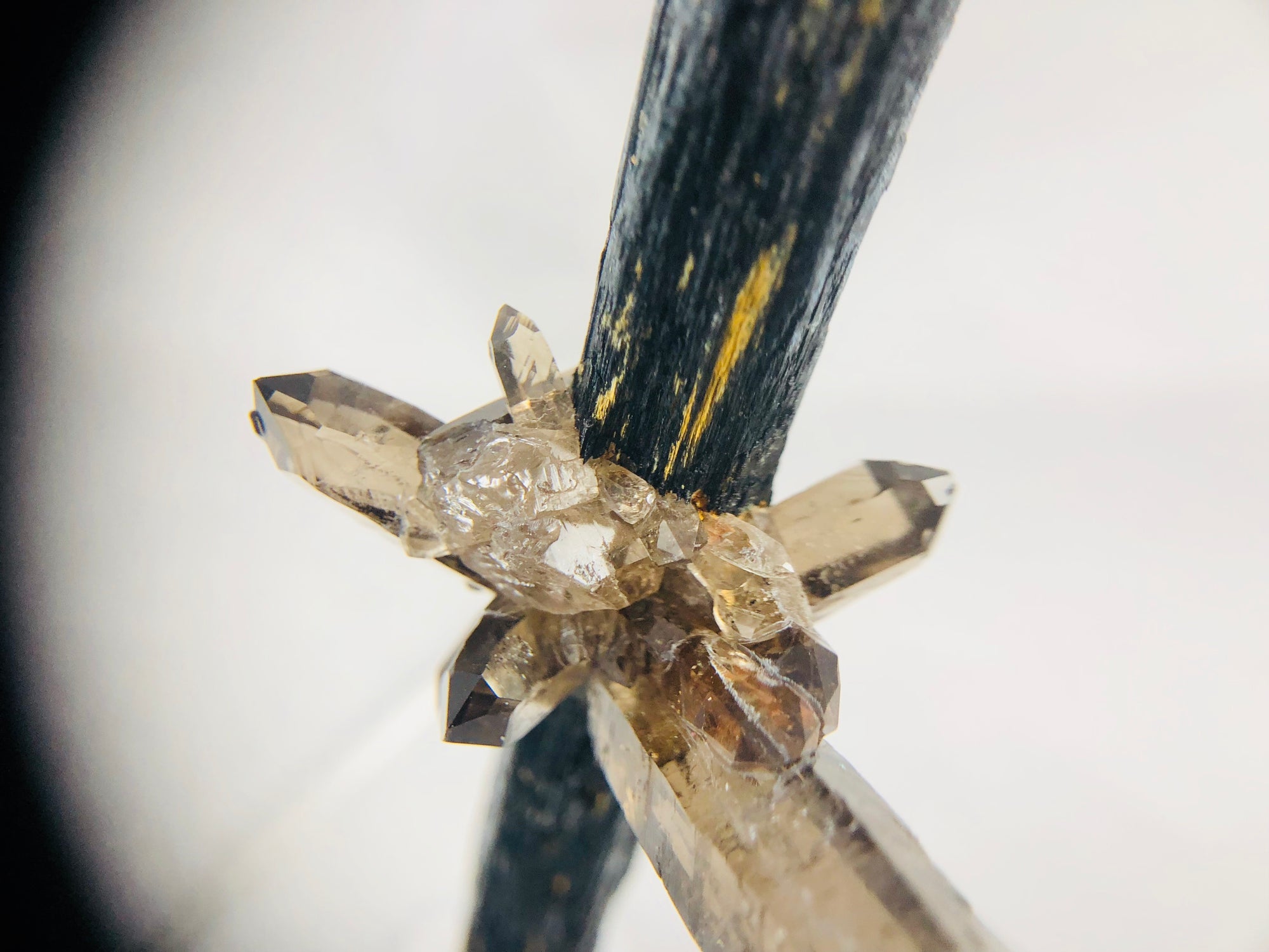 Smoky Quartz on Aegirine