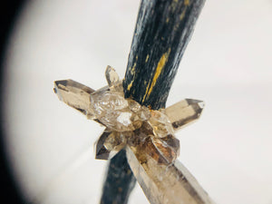 Smoky Quartz on Aegirine