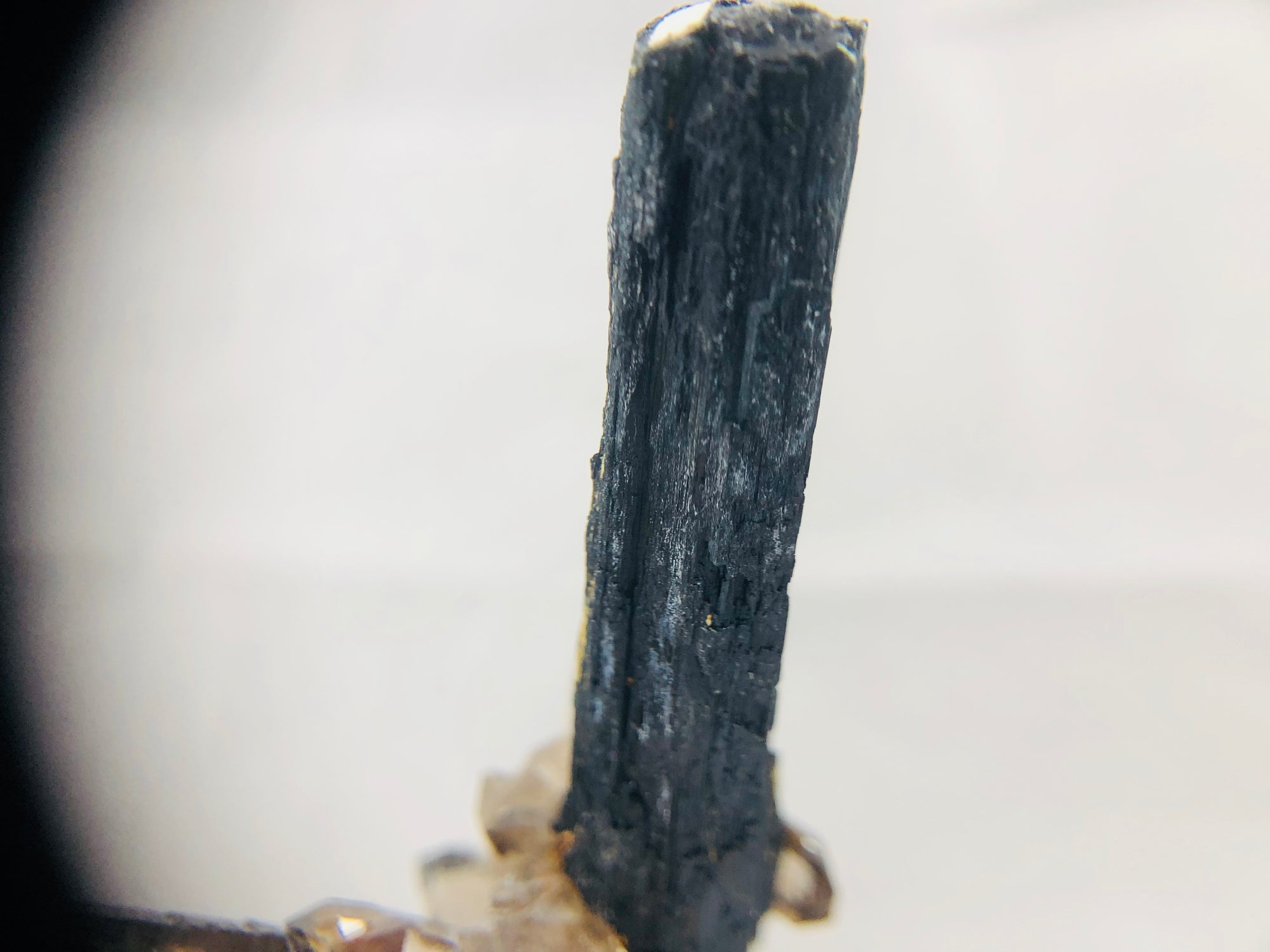 Smoky Quartz on Aegirine