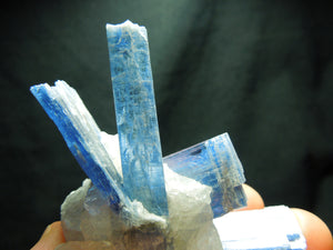 Kyanite Cluster