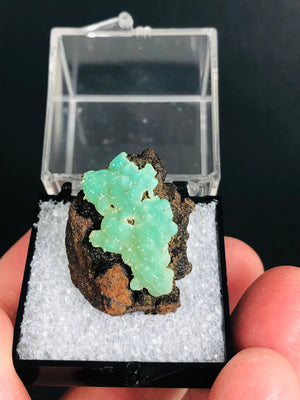 Cuprian Smithsonite, Mexico