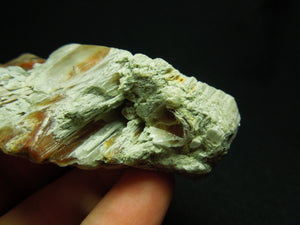 Amphibole Quartz