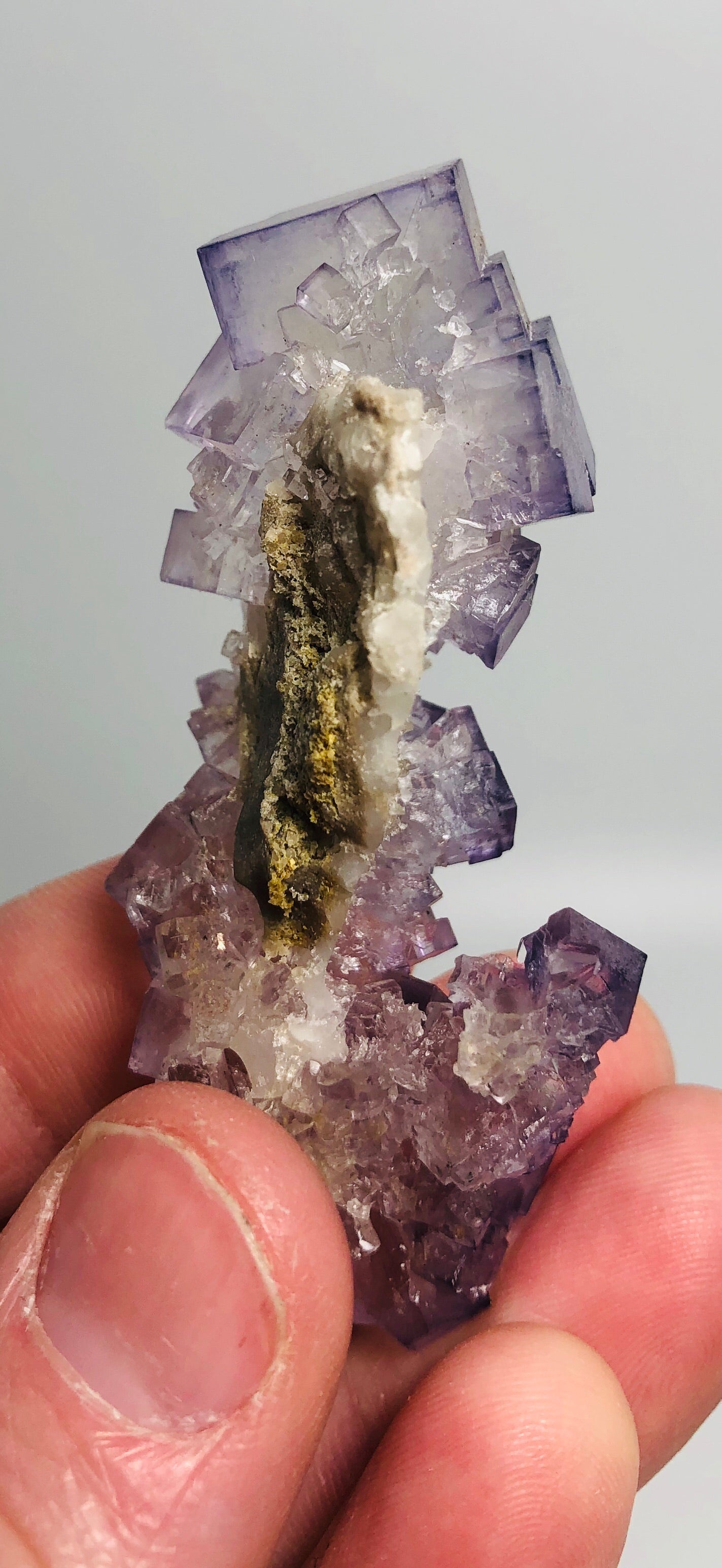Fluorite, Tauorirt Mine, Morocco
