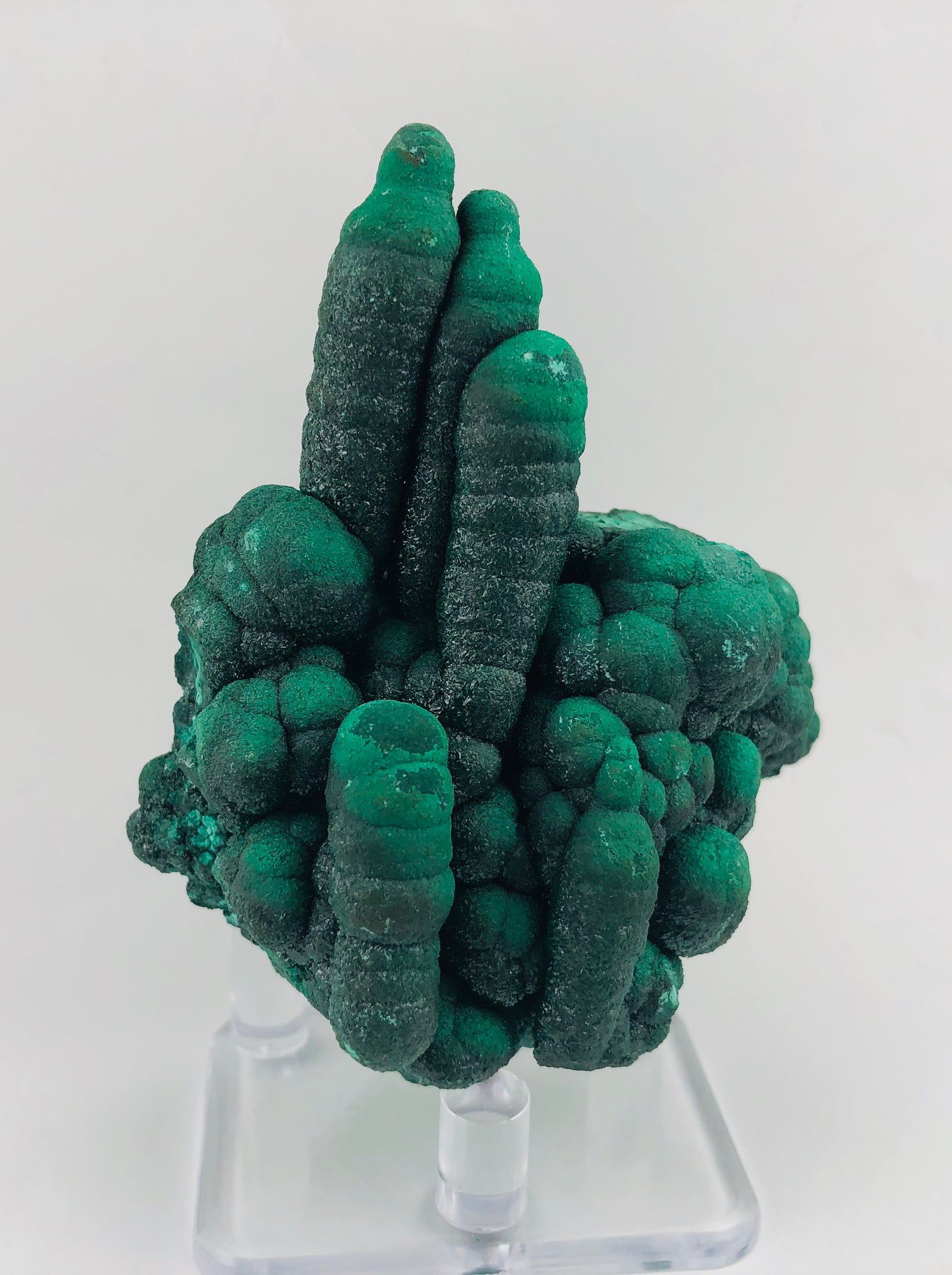 Malachite Stalactite, DRC
