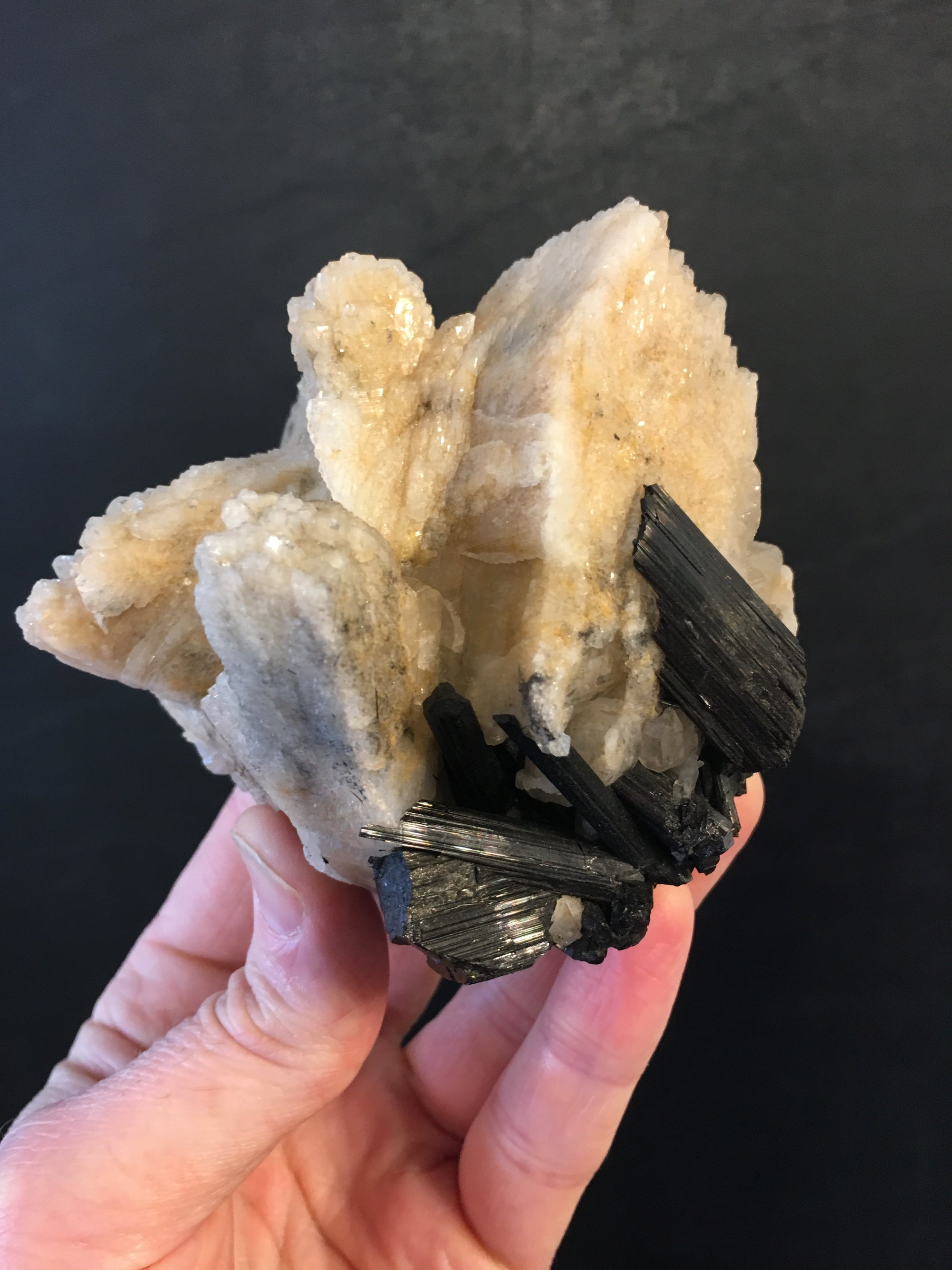 Black Tourmaline w/ Cleavelandite, Brasil