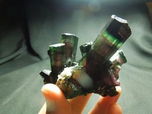 Watermelon Tourmaline w/ Quartz & Cleavelandite