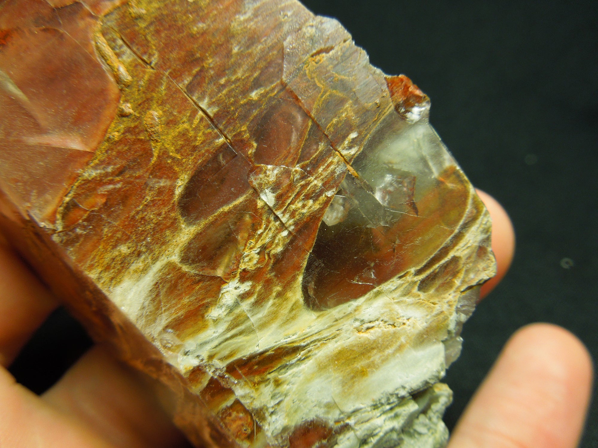 Amphibole Quartz