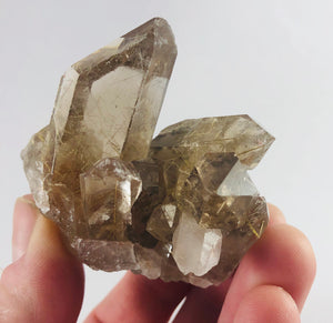 Rutilated Smoky Quartz