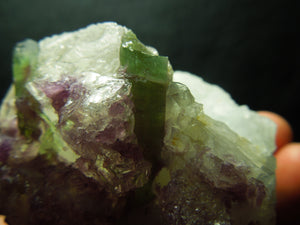 Lepidolite w/ Watermelon Tourmaline, 1.33 lbs.