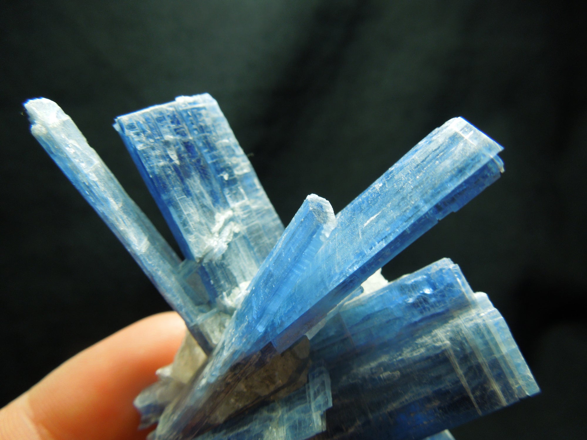 Kyanite Cluster