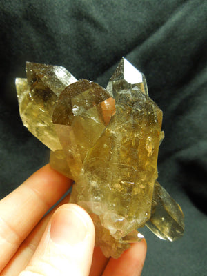 Smoky Quartz Cluster
