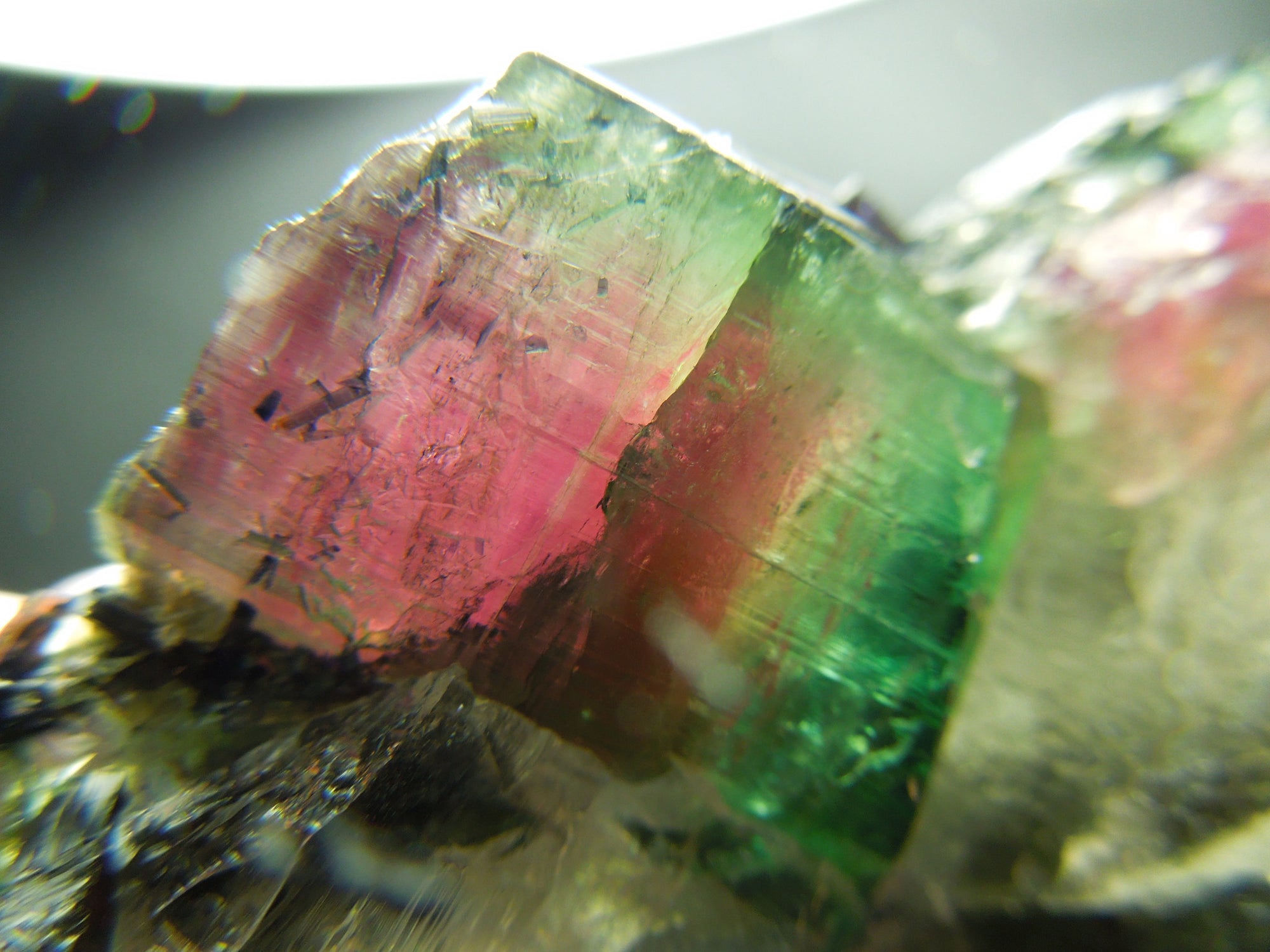 Watermelon Tourmaline w/ Quartz