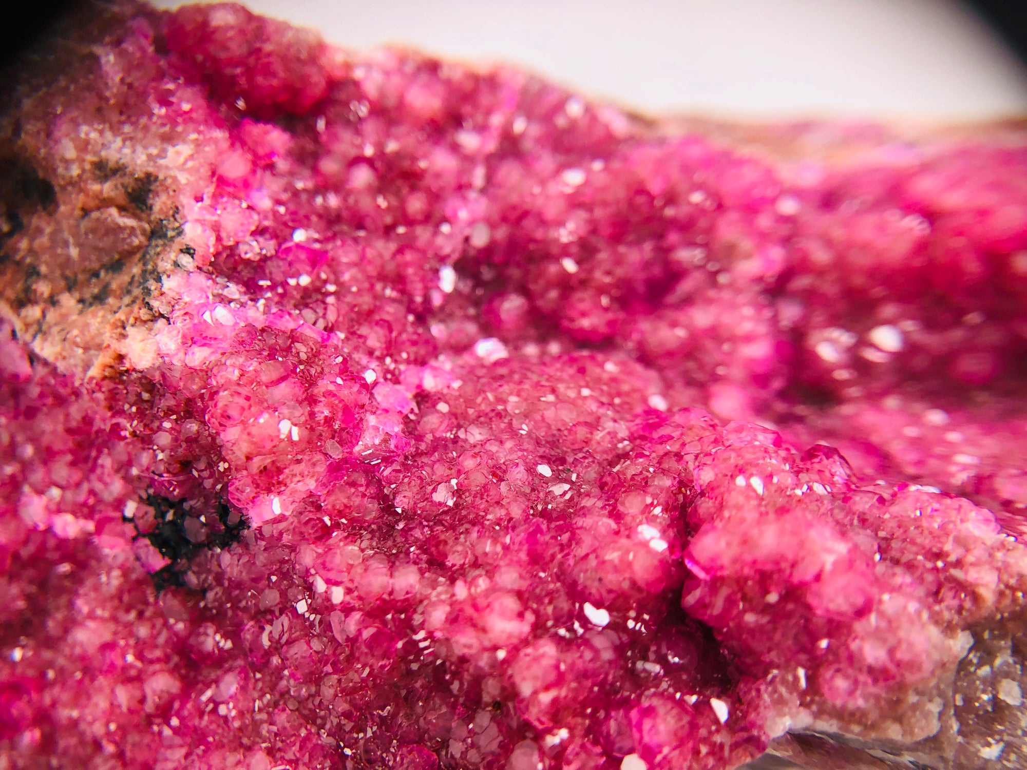 Cobaltoan Calcite