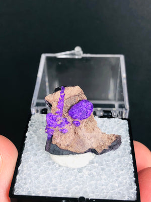 Fibrous Sugilite, South Africa