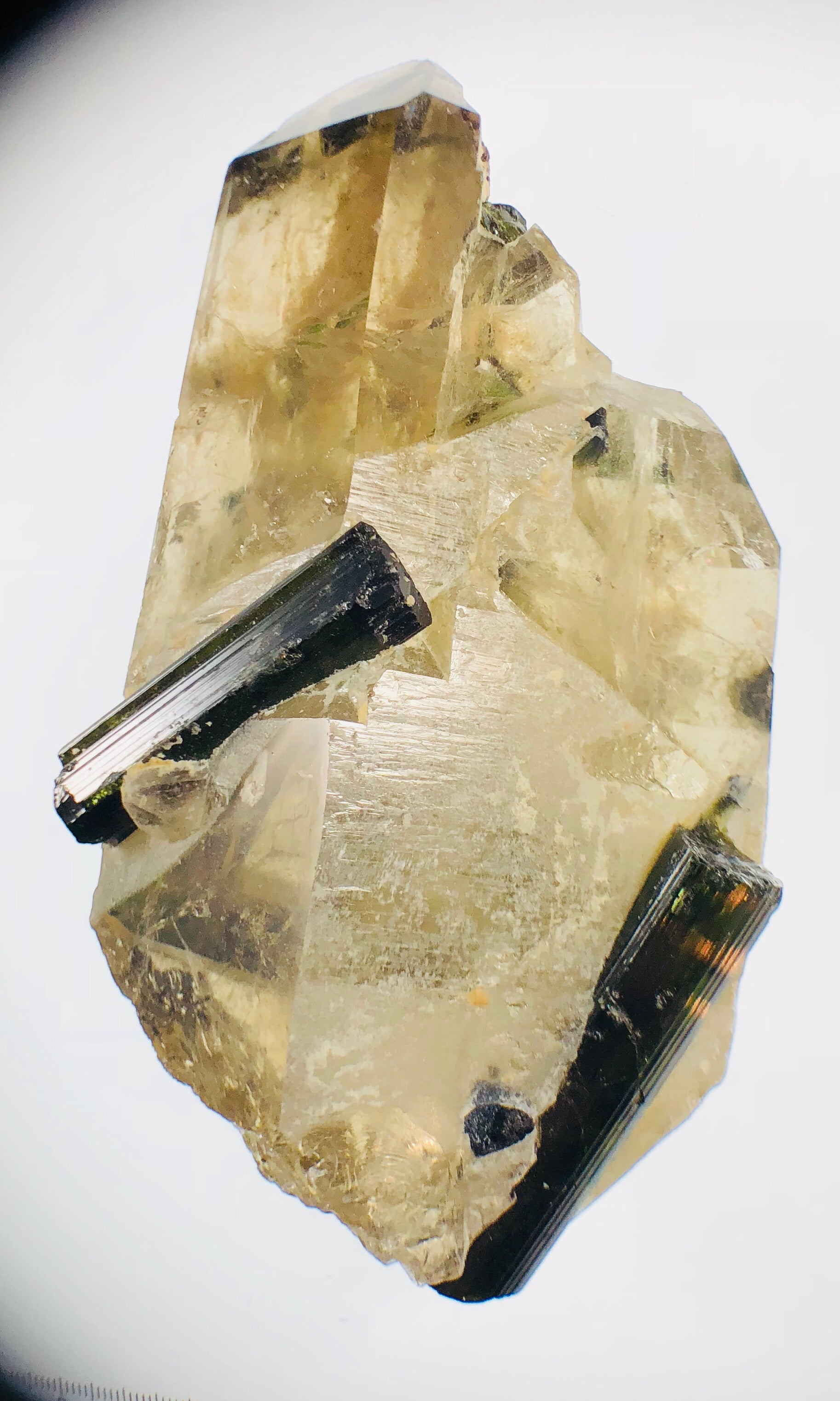 Smoky Citrine w/ Green Tourmaline