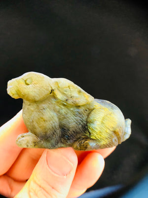 Labradorite Carved Rabbit