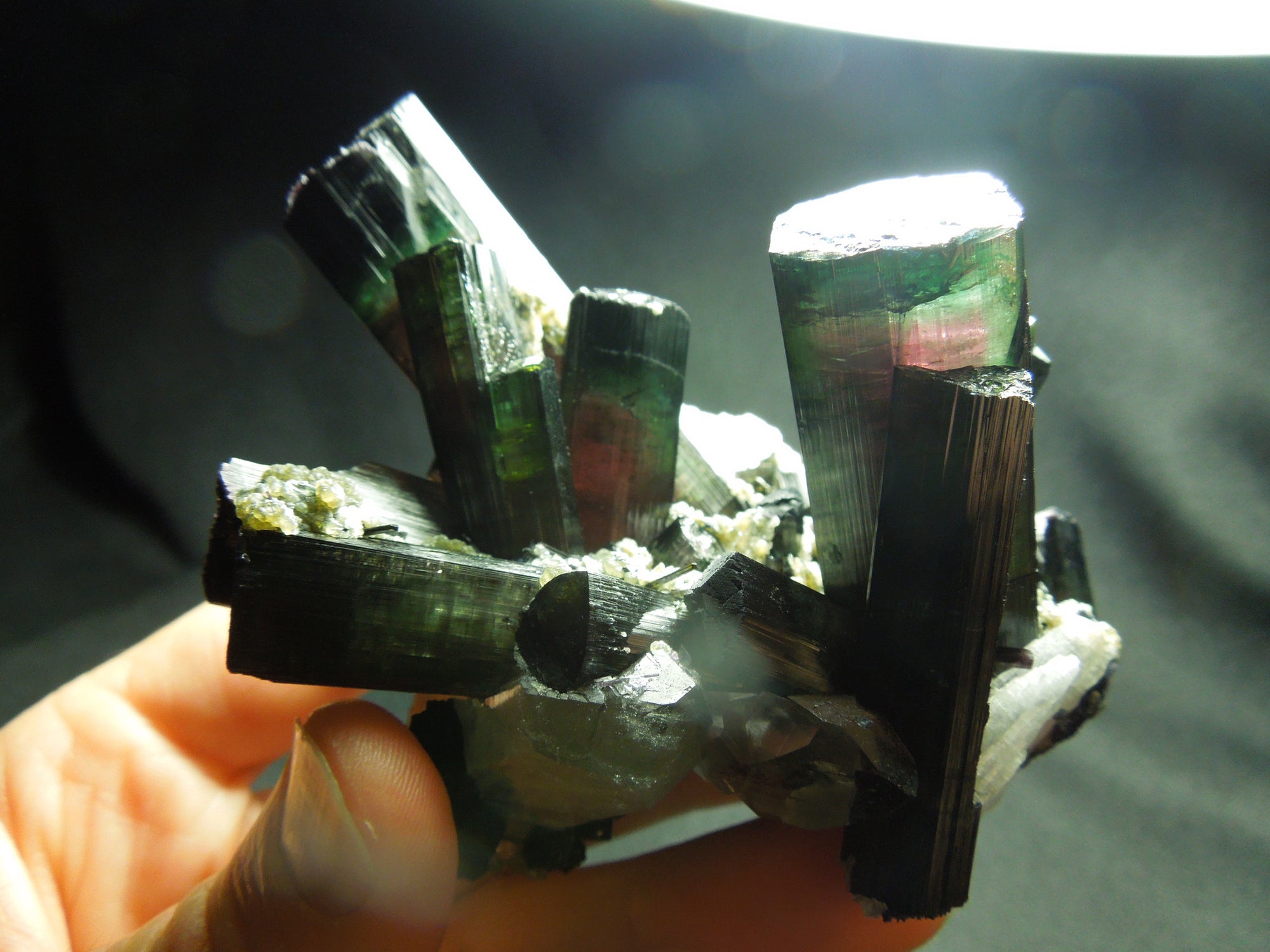 Watermelon Tourmaline w/ Quartz & Cleavelandite