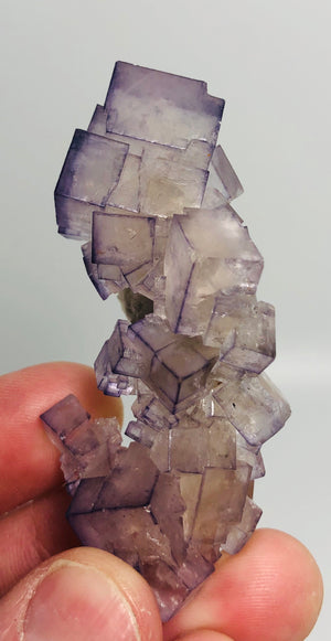Fluorite, Tauorirt Mine, Morocco