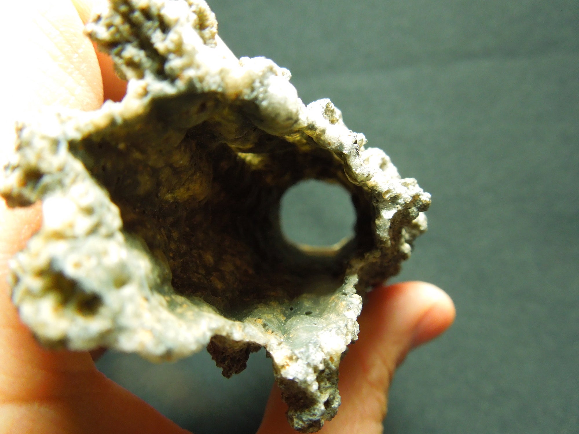 Fulgurite "Lightning Striking Sand"