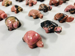 Turtle Carving