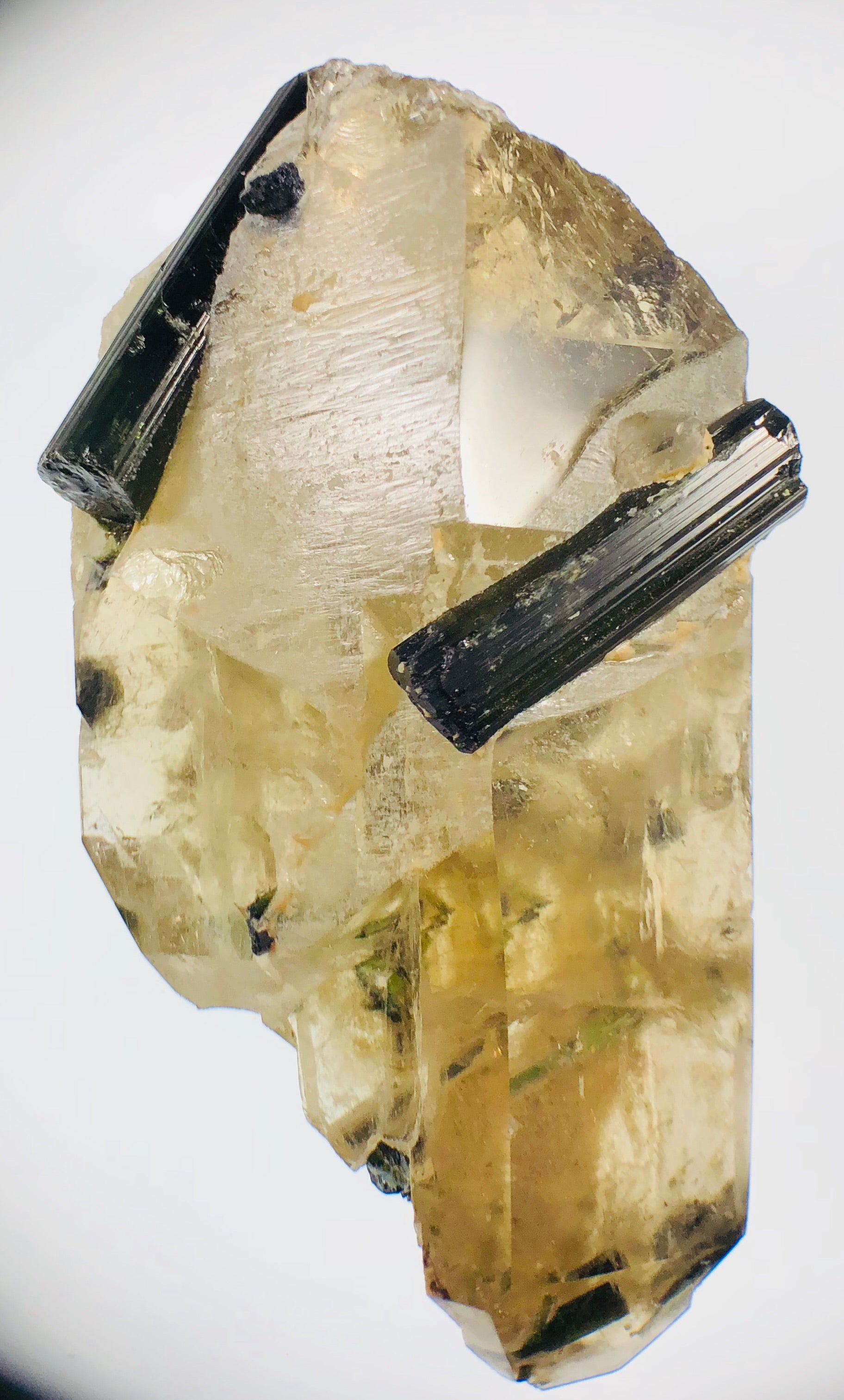 Smoky Citrine w/ Green Tourmaline