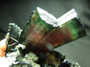 Watermelon Tourmaline w/ Quartz & Cleavelandite