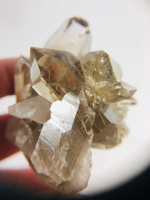 Rutilated Smoky Quartz