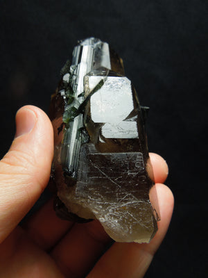 Smoky Cayhedral Quartz w/ Green Tourmaline