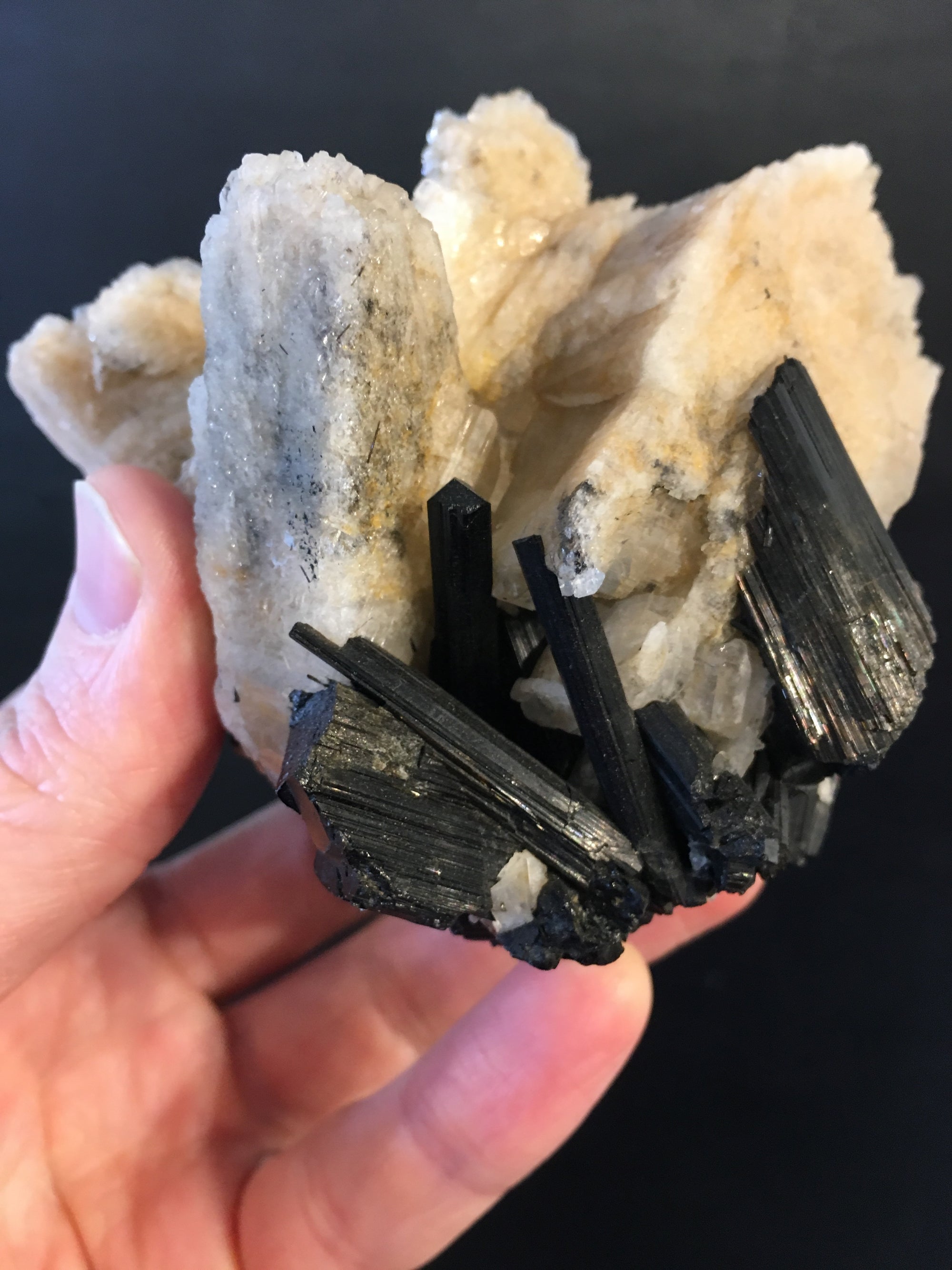 Black Tourmaline w/ Cleavelandite, Brasil