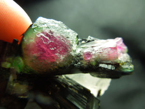 Watermelon Tourmaline w/ Quartz