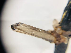 Smoky Quartz on Aegirine