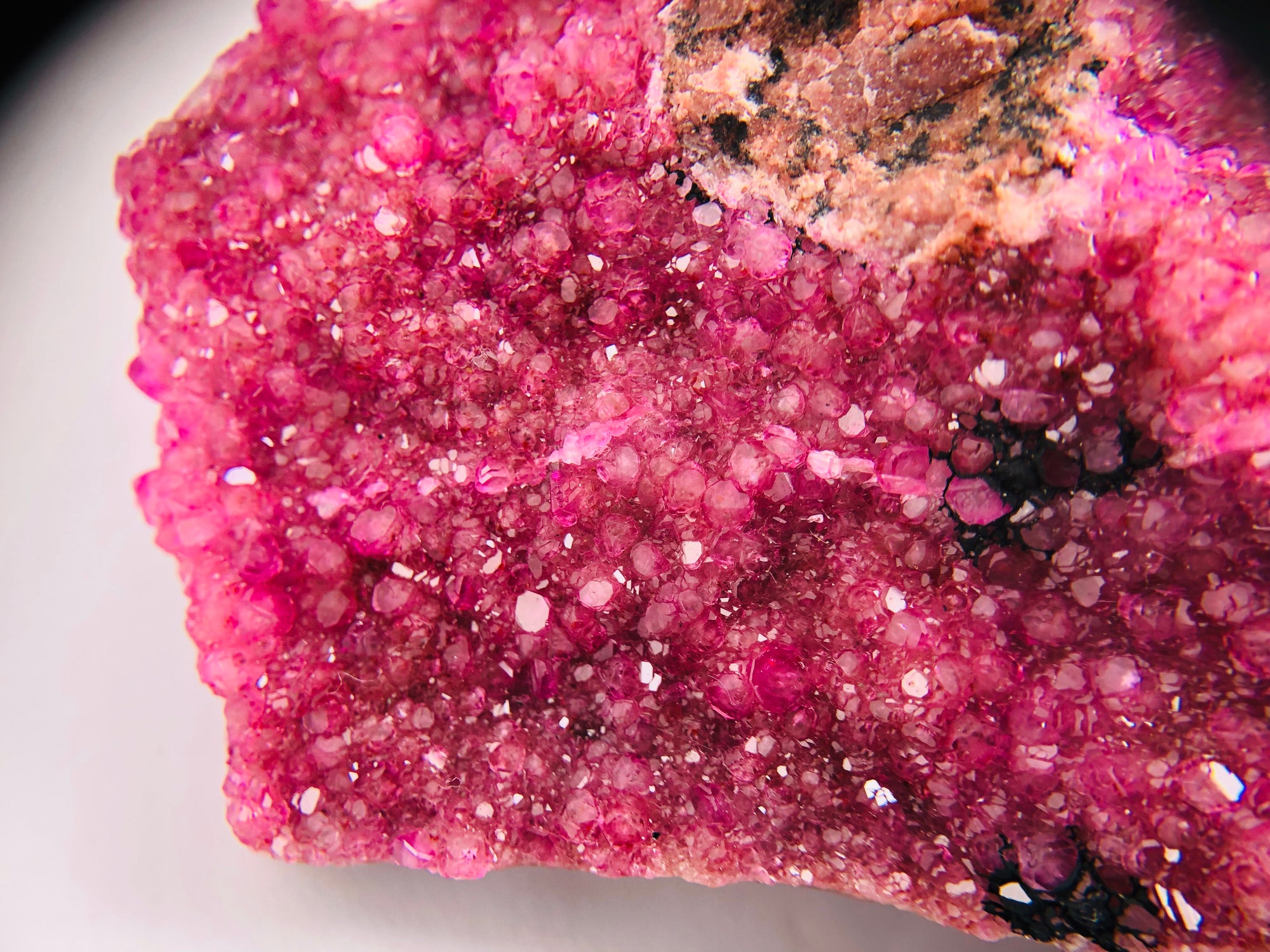 Cobaltoan Calcite
