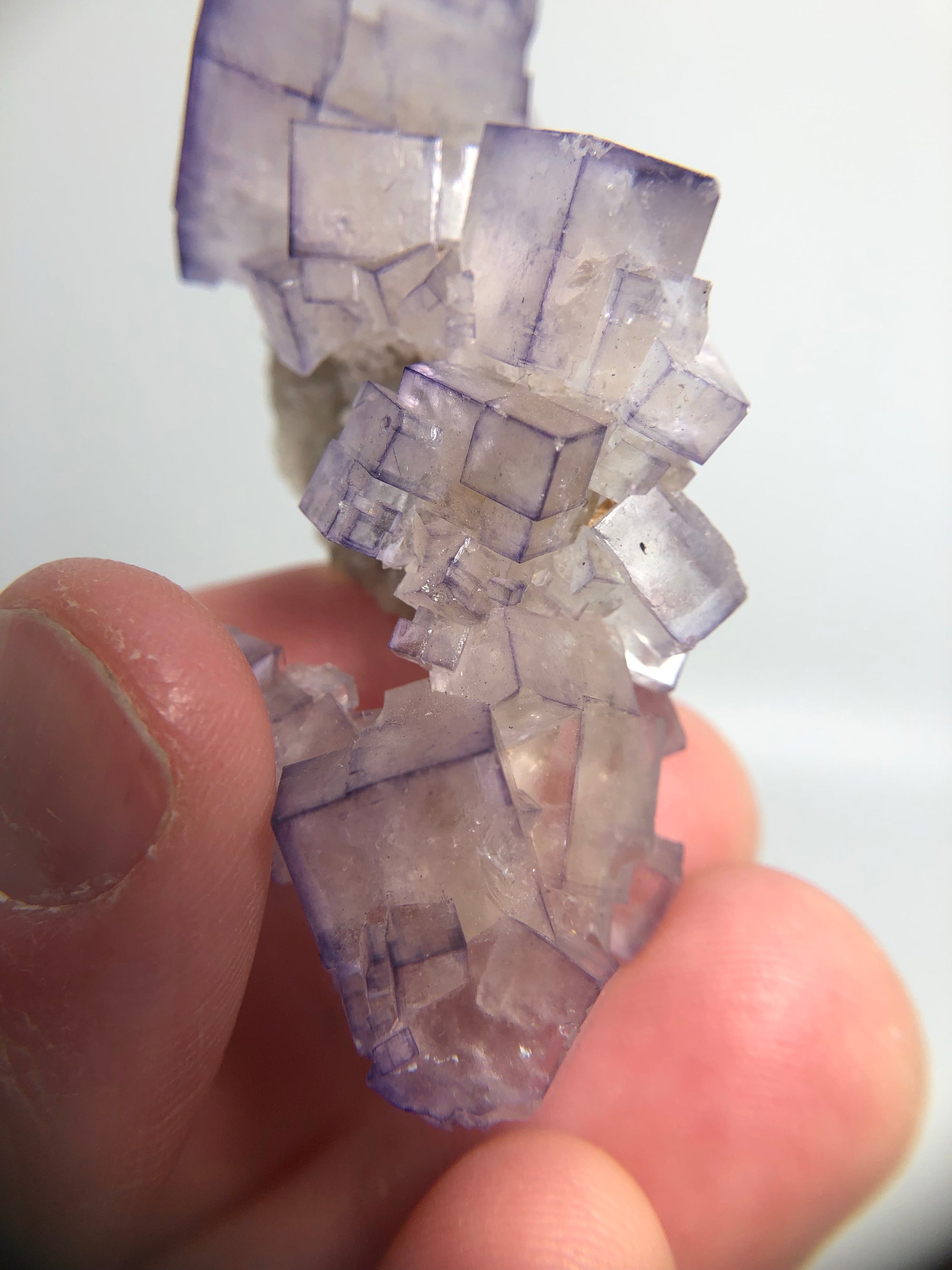 Fluorite, Tauorirt Mine, Morocco