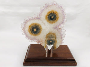 Amethyst Stalactite Slices in Wood Bases