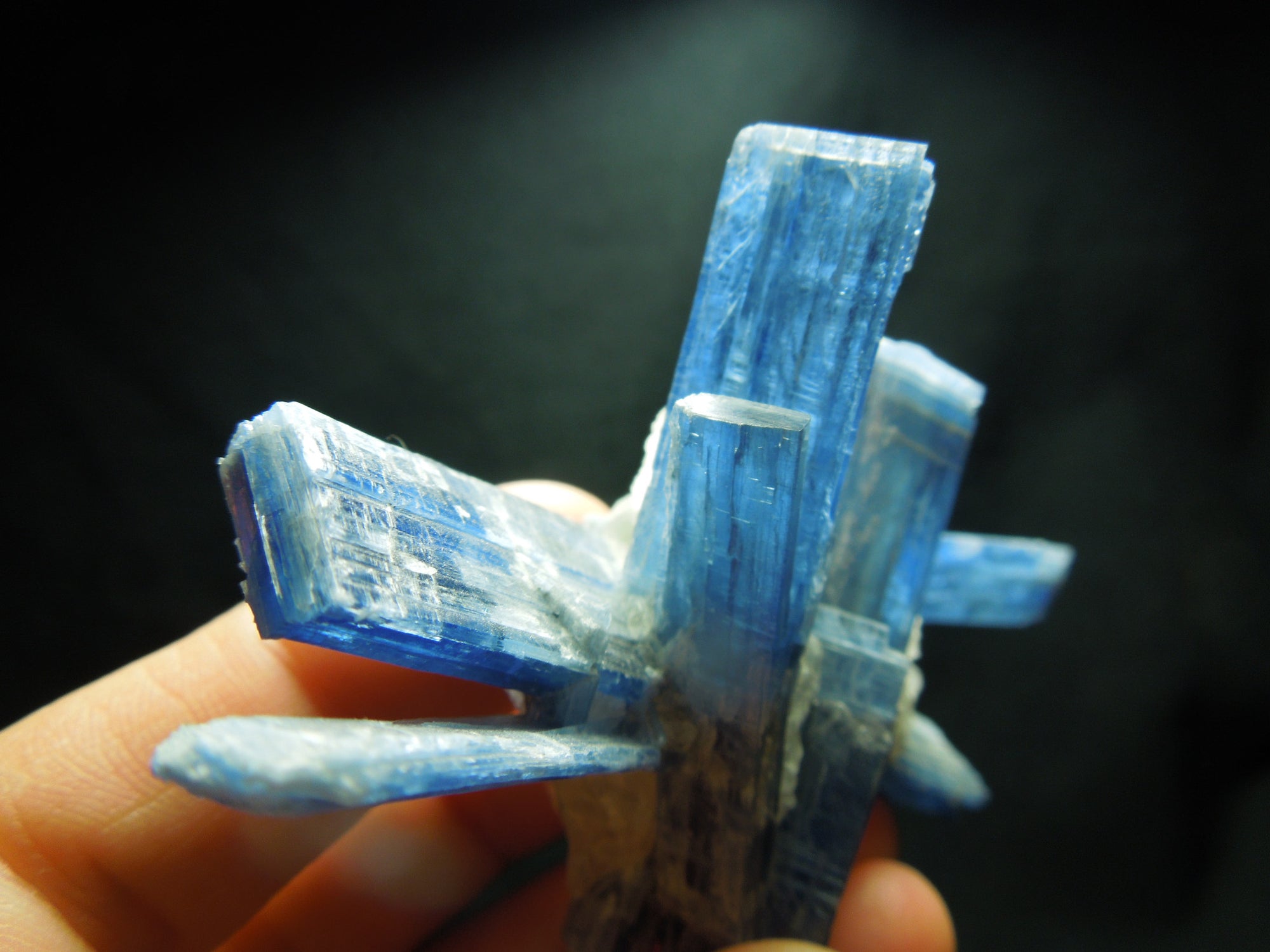 Kyanite Cluster