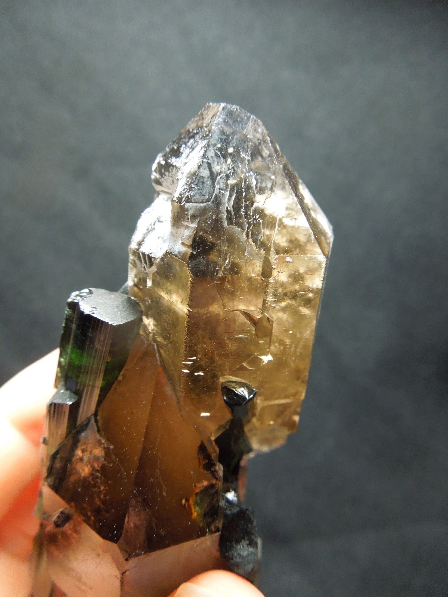 Smoky Cayhedral Quartz w/ Green Tourmaline