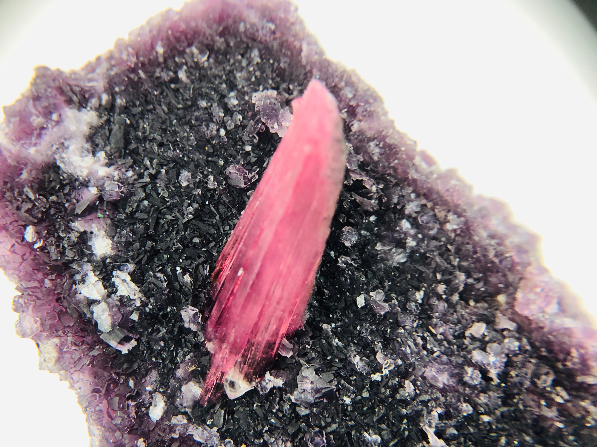 Rubellite Tourmaline on Lepidolite w/ Quartz