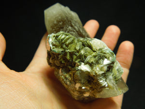 Smoky Quartz w/ Mica