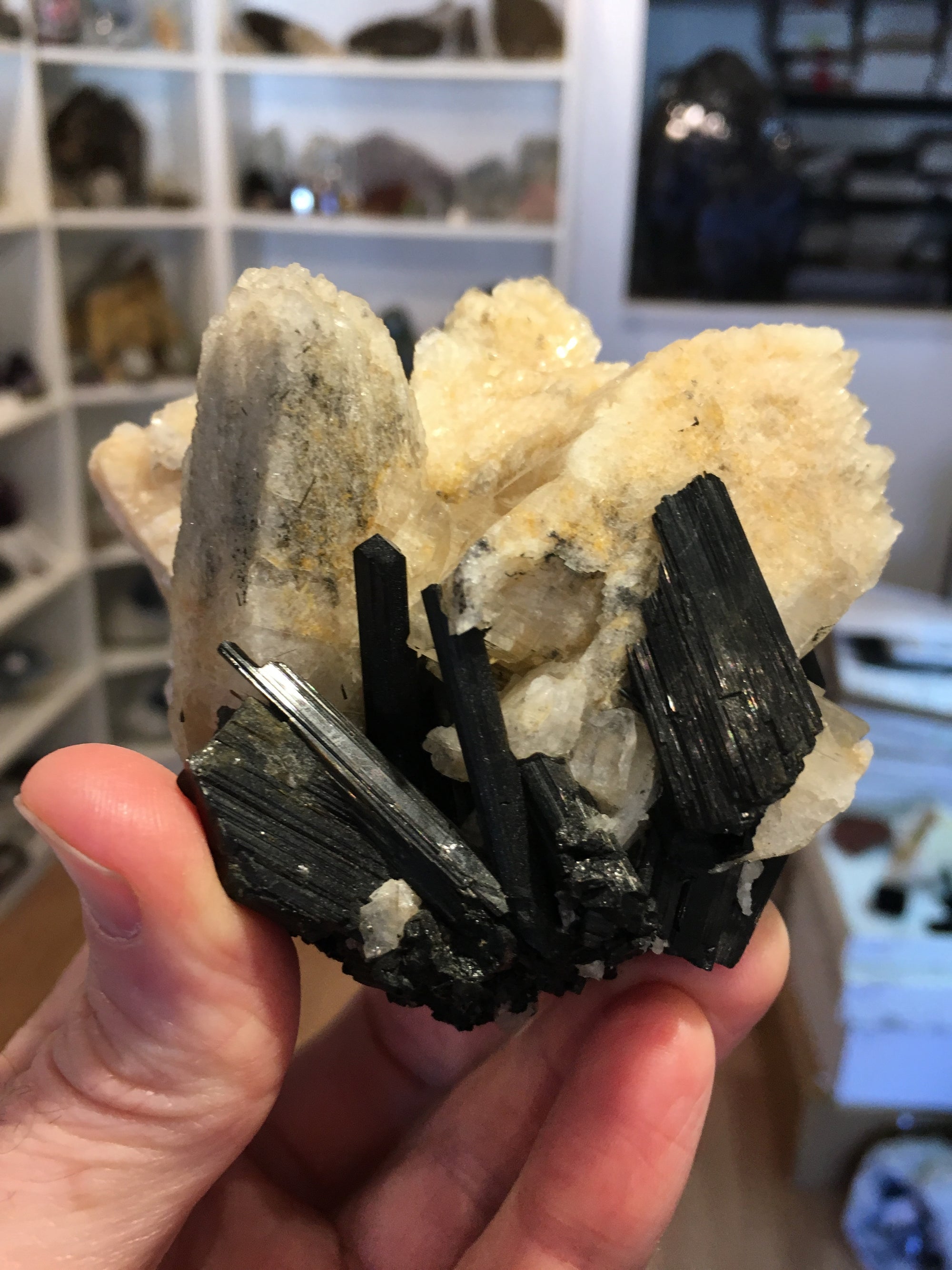 Black Tourmaline w/ Cleavelandite, Brasil