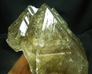 Smoky Elestial Quartz Enhydro, 2.8 lbs.