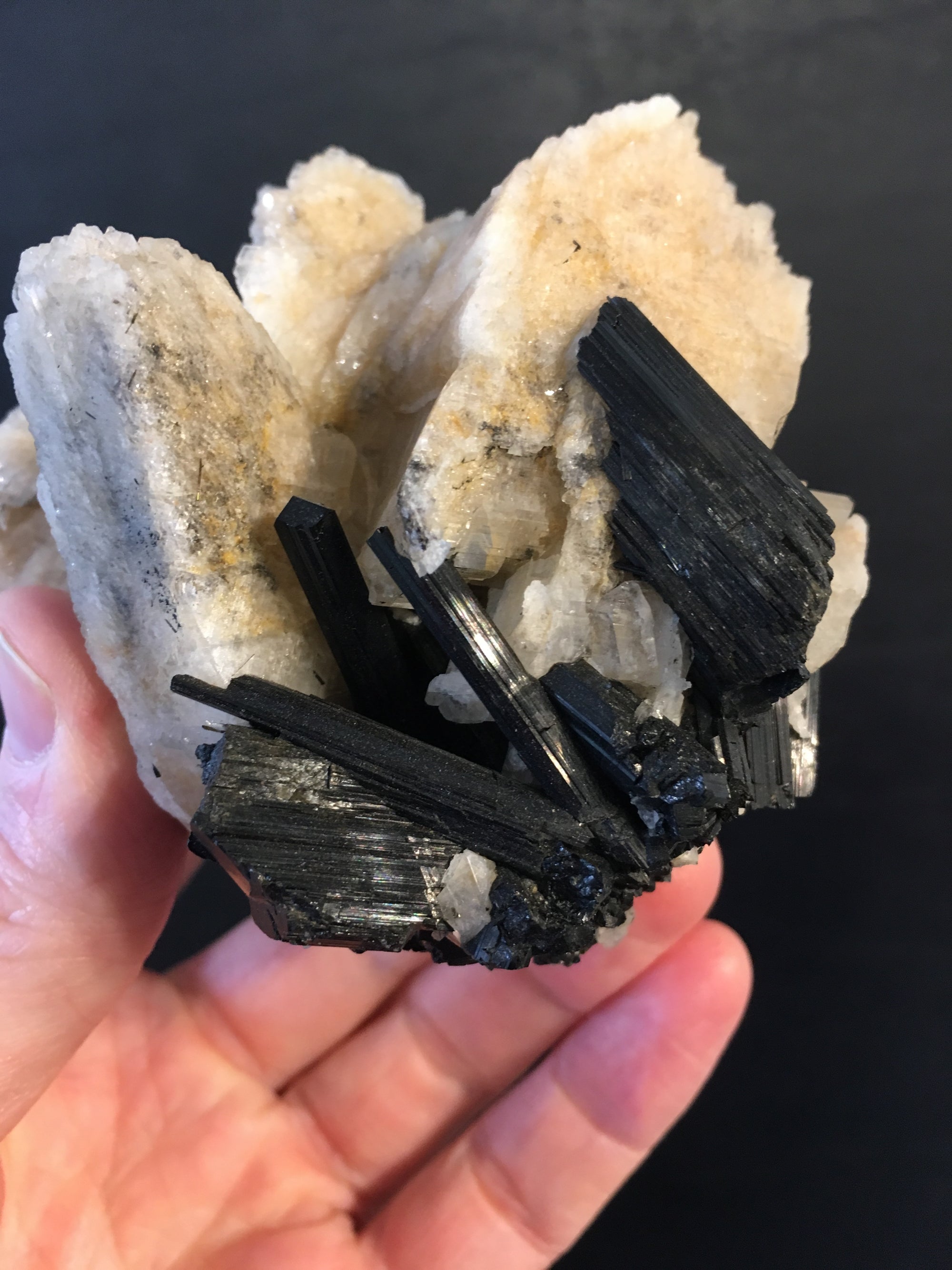 Black Tourmaline w/ Cleavelandite, Brasil