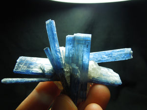 Kyanite Cluster