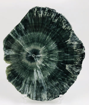 Seraphinite Slice from Russia